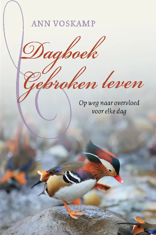 Dagboek Gebroken leven - Ann Voskamp