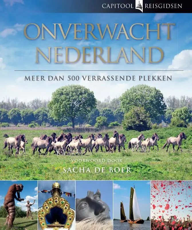 Onverwacht nederland