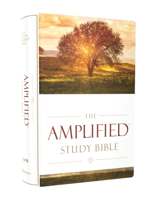 Amplified study bible