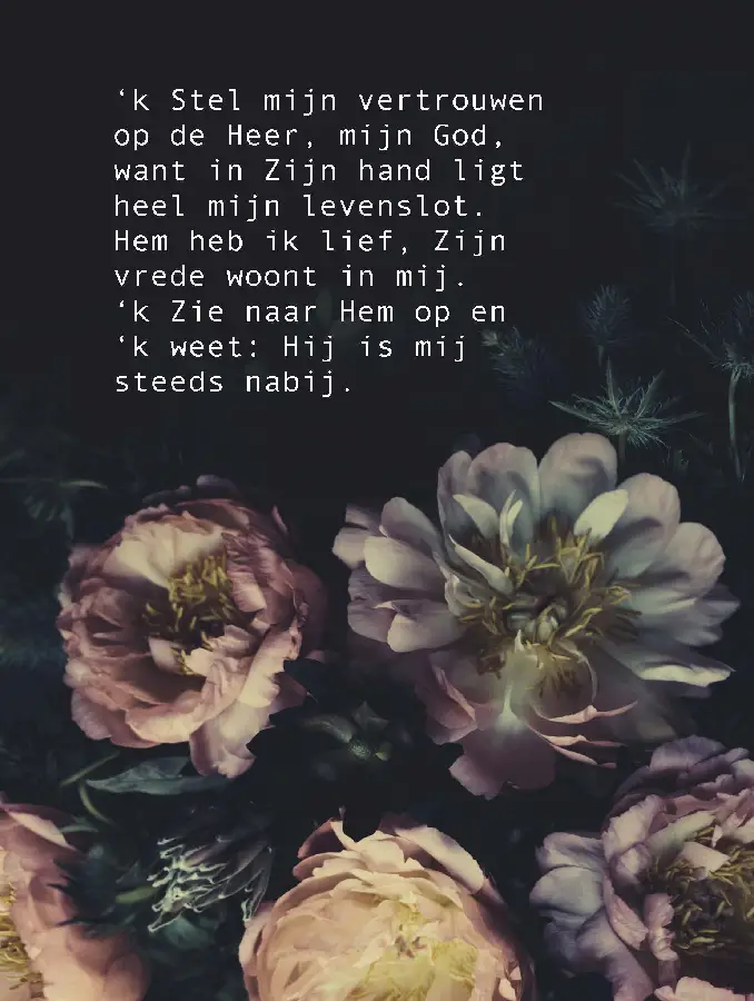 Wenskaart k Stel mijn vertrouwen op de H