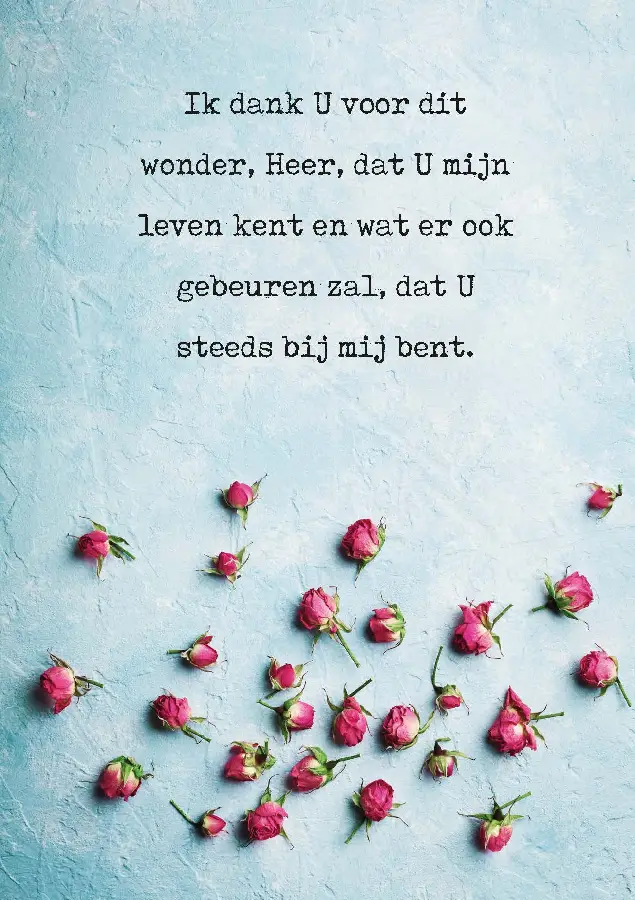 Wenskaart Ik dank U voor dit wonder, Hee