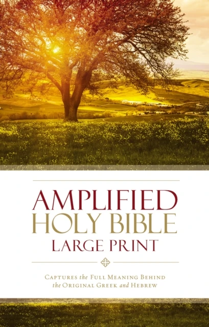 Amplified large print bible